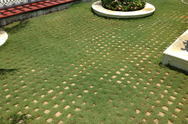 garden management in chennai, terrace gardens in chennai, swimming pool designers in chennai, swimming pool maintenance in chennai,